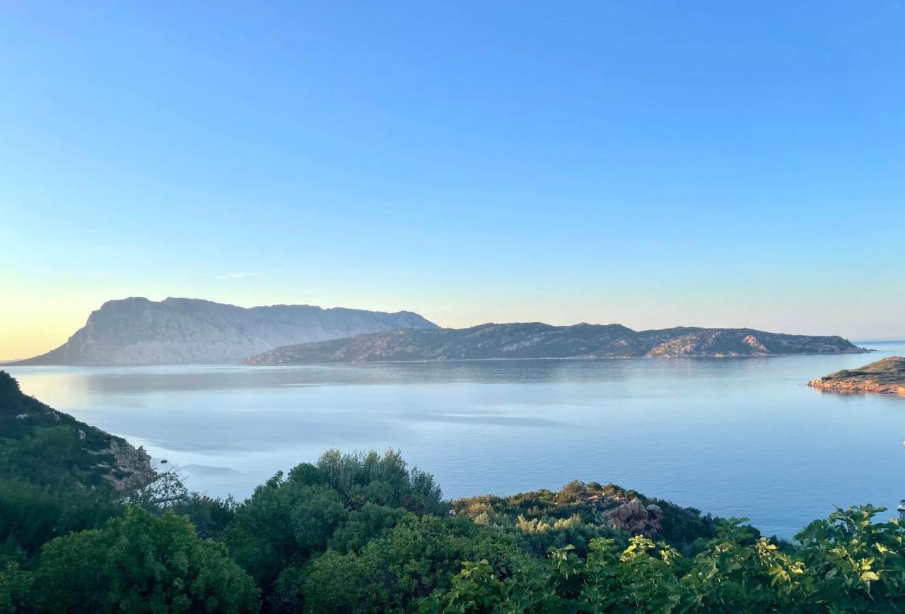 Appartement San Teodoro Punta Est Delizioso Monolocale Vista Mare Extérieur photo