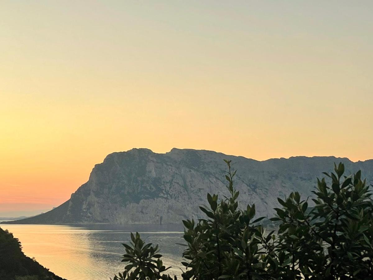 Appartement San Teodoro Punta Est Delizioso Monolocale Vista Mare Extérieur photo